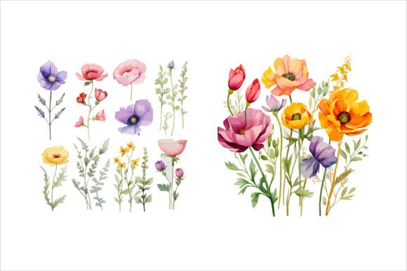 Watercolor Floral Design Review